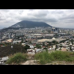 Meet your Posher, Elsa